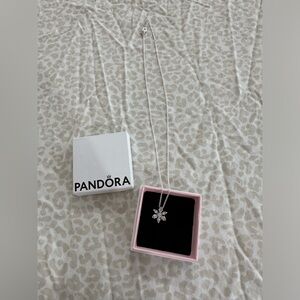 Brand New Pandora Necklace